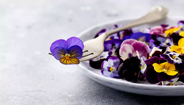 Floral Flavors: 10 Edible Flowers That Transform Your Dishes