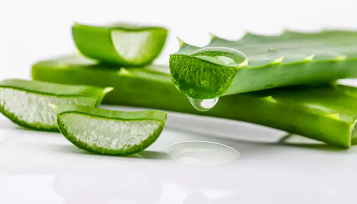 Nature's elixir: Aloe vera's promising potential for overall well-being