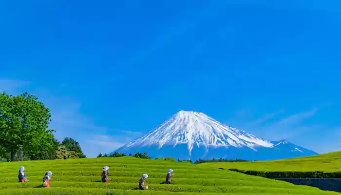 Here are offbeat places to explore in Japan