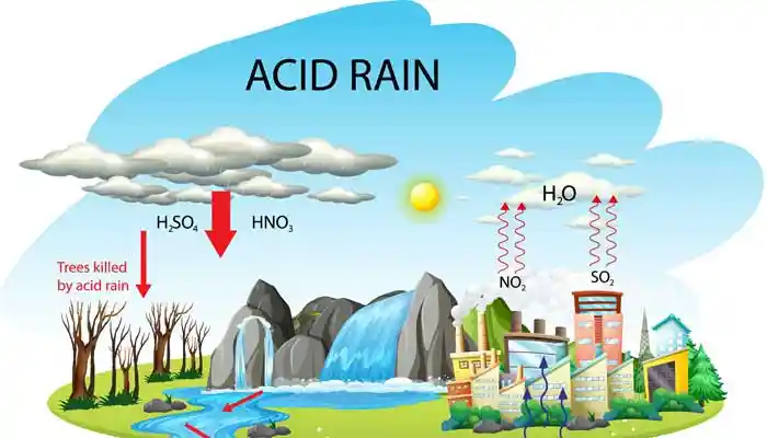 Must-know facts about acid rain