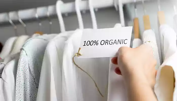 The Rise of Sustainable Fashion: How Eco-Friendly Brands Are Changing the Game?