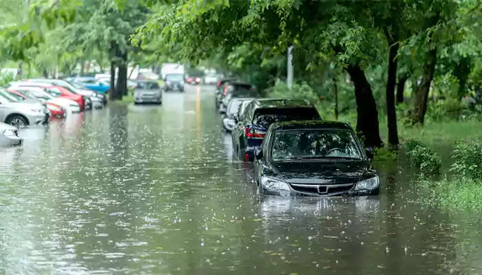 Reduce flood risks in your town: Ways to prevent urban flooding